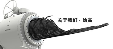P(gun)҂