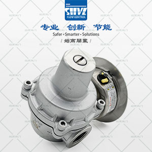P䓜pyD4